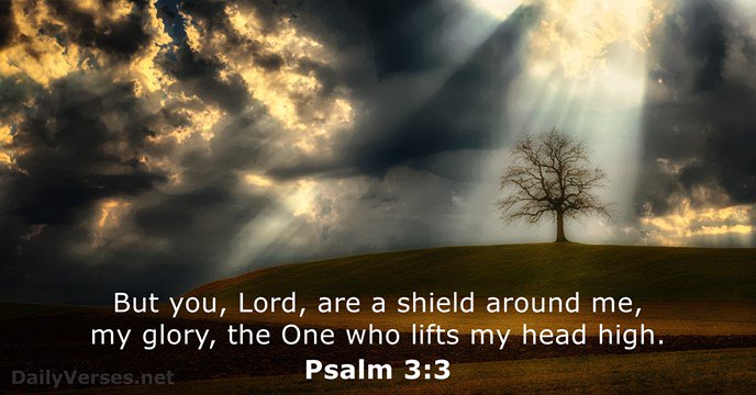 KingDavidSong's tweet photo. #Shabbat #ShabbatShalom #Shalom #Love #Peace #Rest #Psalm #DavidPsalm #edefy #shield https://t.co/HGQE0y81gJ
