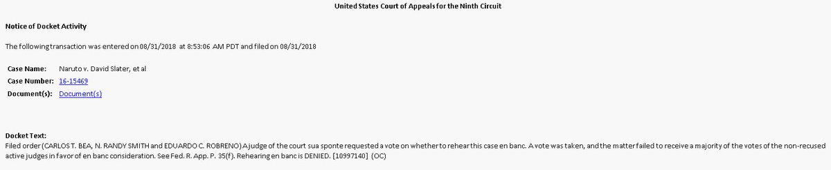 TyreJim's tweet image. Sad news for Naruto fans? The #MonkeySelfie copyright infringement case began with a bang, but likely it just ended with a wimper.