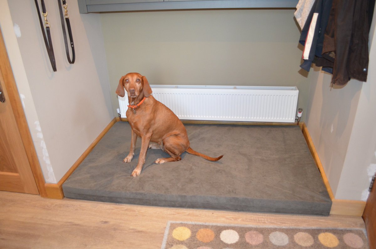 Big Dog Bed Company On Twitter Bespoke Bed Delivered Today For