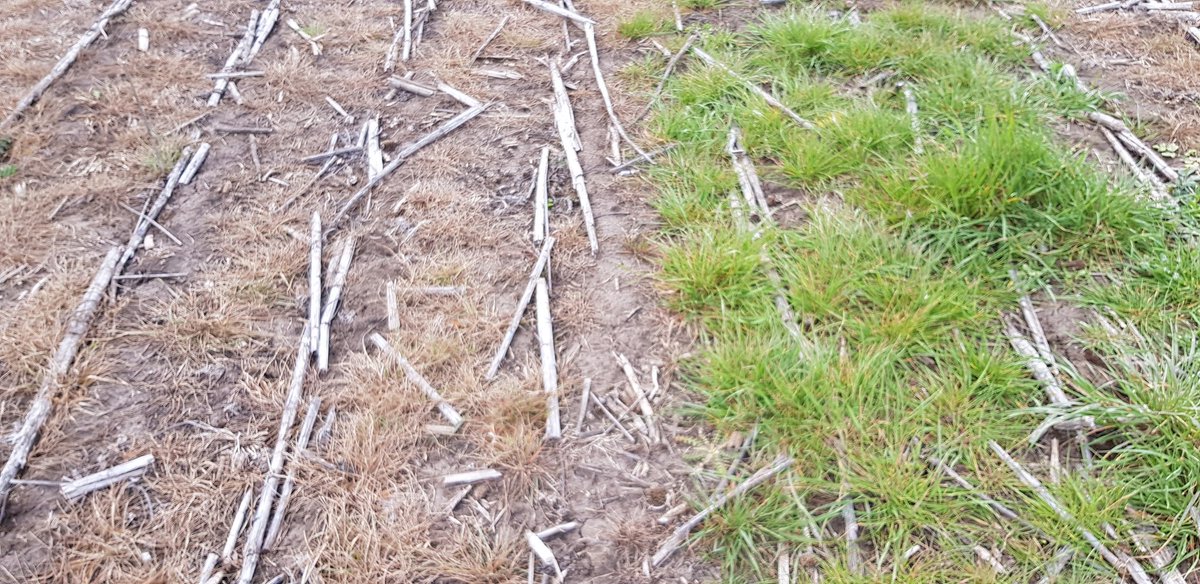 Esteban Bilbao tweet media