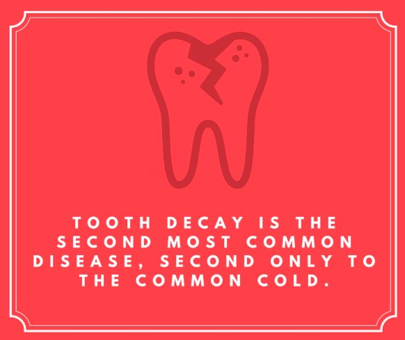 SpringSproutDDS's tweet image. Fun Fact Friday: Tooth decay is the second most common disease, second only to the common cold!