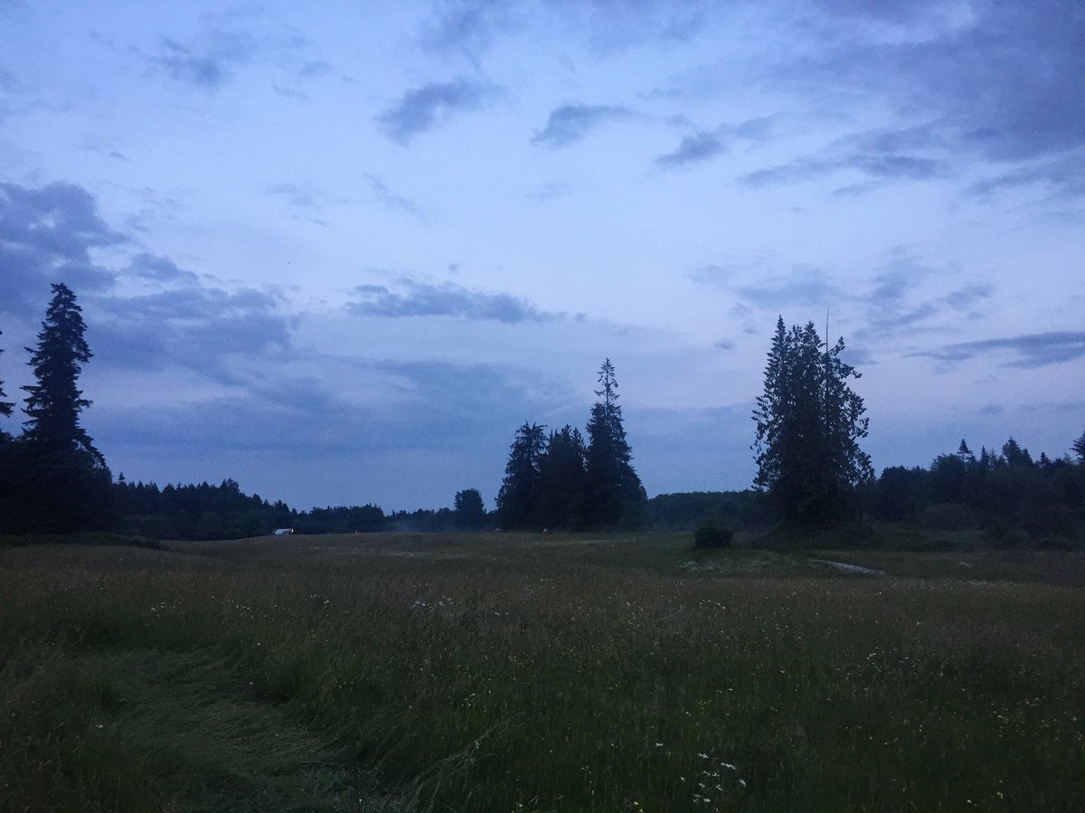 The truth is out there… and we found it! Another case solved 👽#TheTruthIsOutThere #Aliens