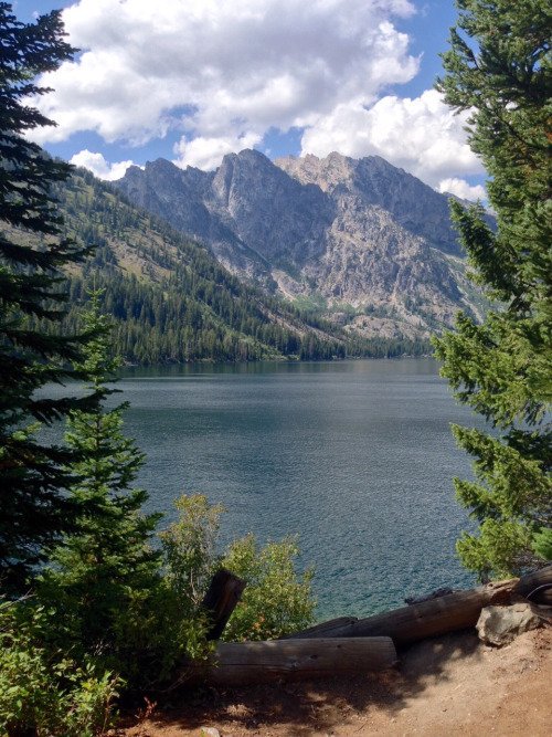 #lake #travel #Wyoming #photo #photography #potd