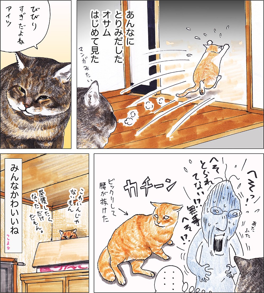 や、どうも。おじいちゃんは「どうもじぶんはカミナリにうたれやすいタイシツだ、そんな気がする」って。よくわからないけど「カメムシにとまられやすいタイシツ」なのはたしかだよ。