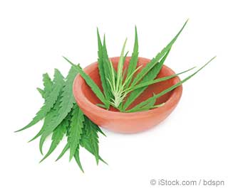 AATinctures's tweet photo. What Is Hemp Good For? - https://t.co/iXNeS30qU7 https://t.co/JRmKfJrNp0 via @mercola
#alchemistalley #holisticwellnessspecialists #herb #DrBowe #DrRacquel #newageherbalist #metaphysicalherbalist #healer #healthiswealth #cbd #tincture #growth 
https://t.co/jeTaVZ0kg5 https://t.co/HqV7edBGxd