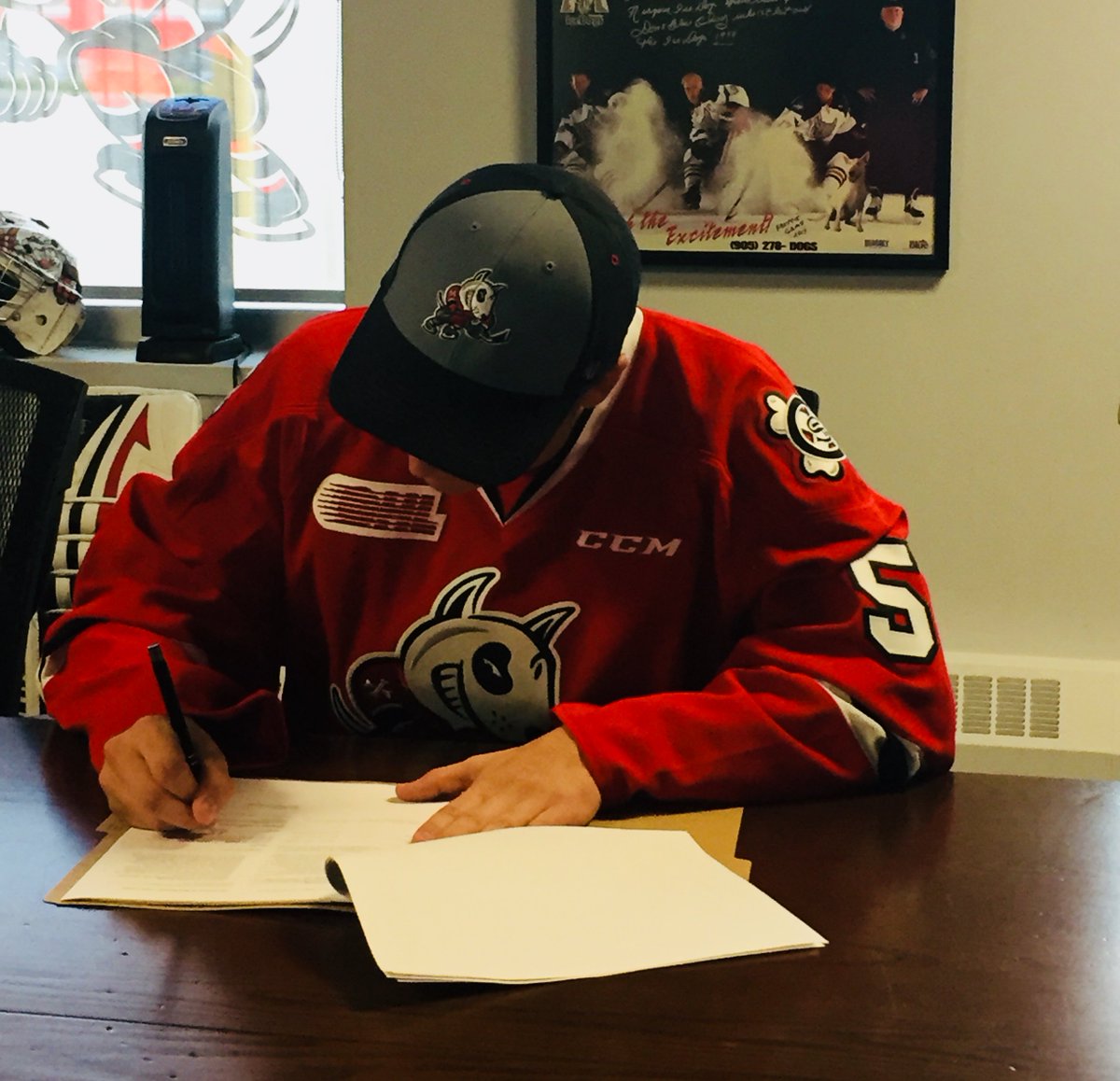 OHLIceDogs's tweet image. Welcome to the 🐶s, @_ajcook73