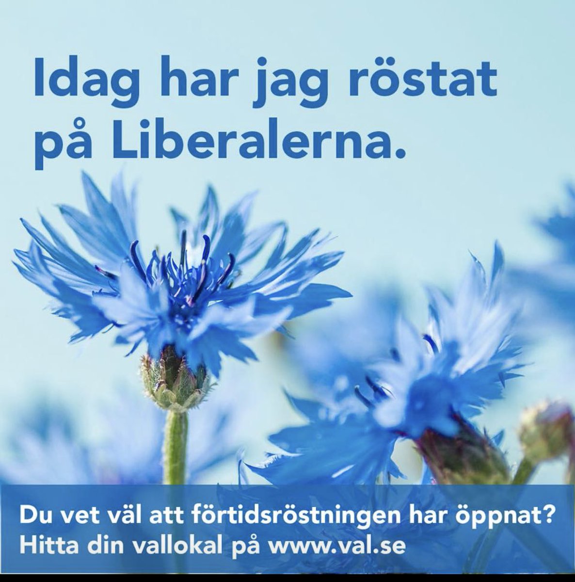 cpkonsulten's tweet photo. Gör som jag! Kryssa mig till kommunfullmäktige i #Västerås! Står på plats 16.😊#liberal @liberalerna 💙#svpol #mitt021 https://t.co/Thx741I5TE