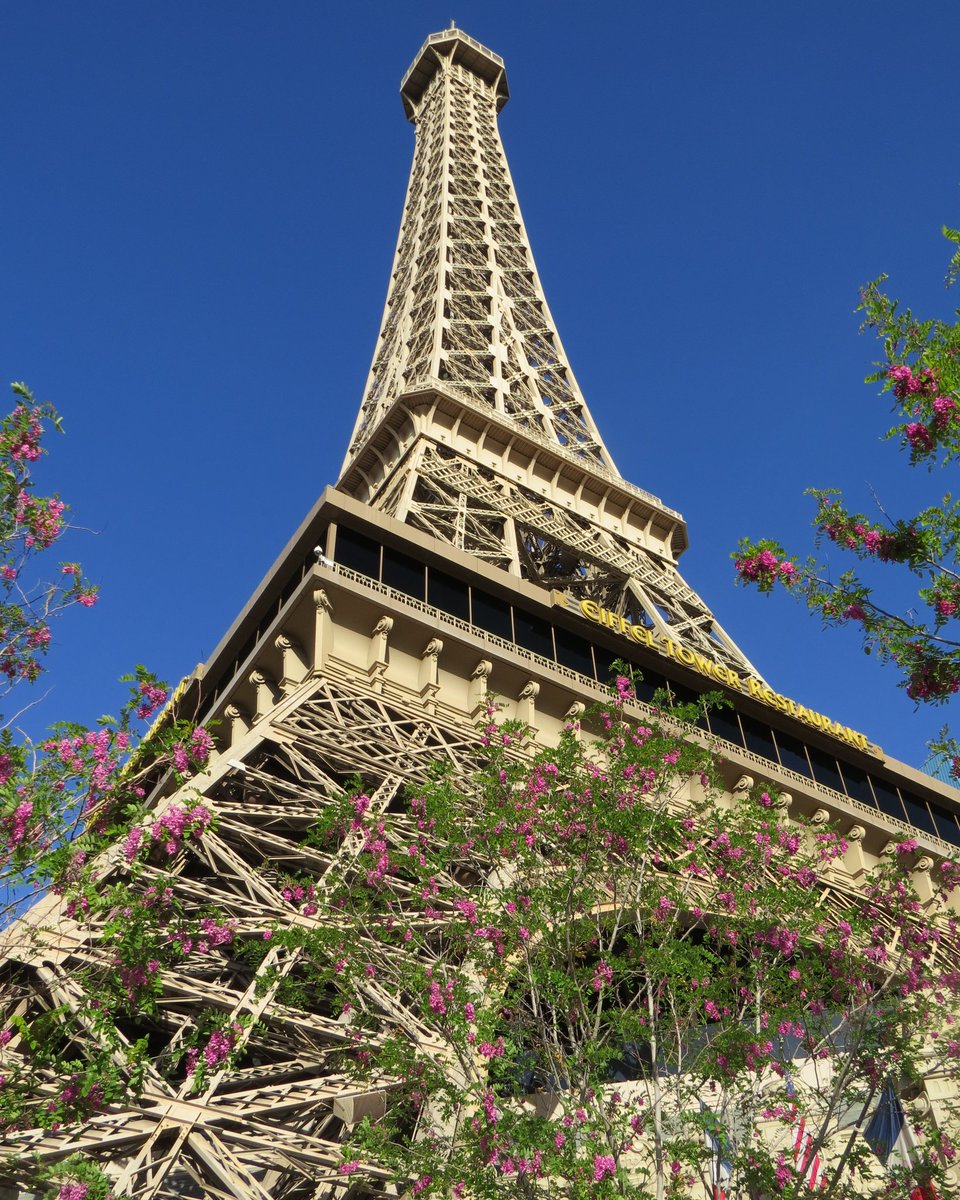 SimpleSavvyTrvl's tweet photo. Loved this place far more than I expected to and can't wait to go back! Where have you been that surpried you? #travel #LasVegas #eiffeltower https://t.co/RxN4JXGspR