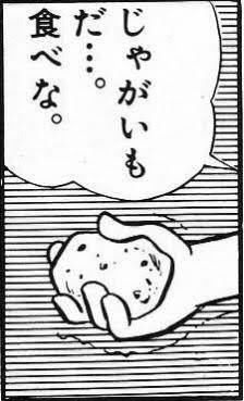 @____rabbit1 