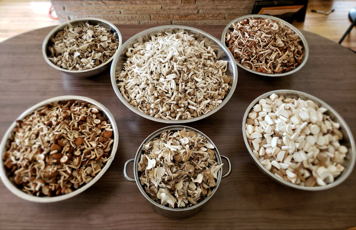 We are very excited to participate again in this year's #tasteofsonoma !!! Eat, drink, and enjoy the long sunny Labor Day Weekend! See you all at the @greenmusicctr tomorrow! #sonomacountyvintners #gourmetmushrooms #mycopia #sampleprep #foodie #specialtymushrooms