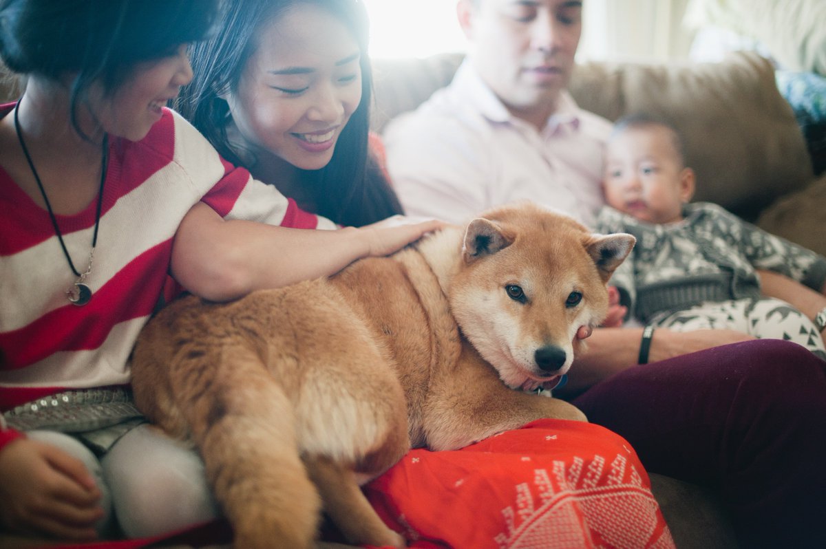 I need to post more photos of our dog but he made it to our newest blog post! Read my interview with an award winnning teacher: ourlifeisbeautiful.com/favoriteboardg…

<a href="/KinderCare/">KinderCare</a> #KinderCare #sponsored