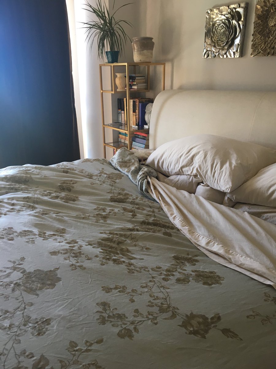 juliedonaldson_'s tweet photo. #FridayFeeling #ispylucy #doesntwanttogetup #lazydog #DogsofTwittter #sleep #istheweekendhereyet #ilovelucy #maltese https://t.co/AawtdbmyAW