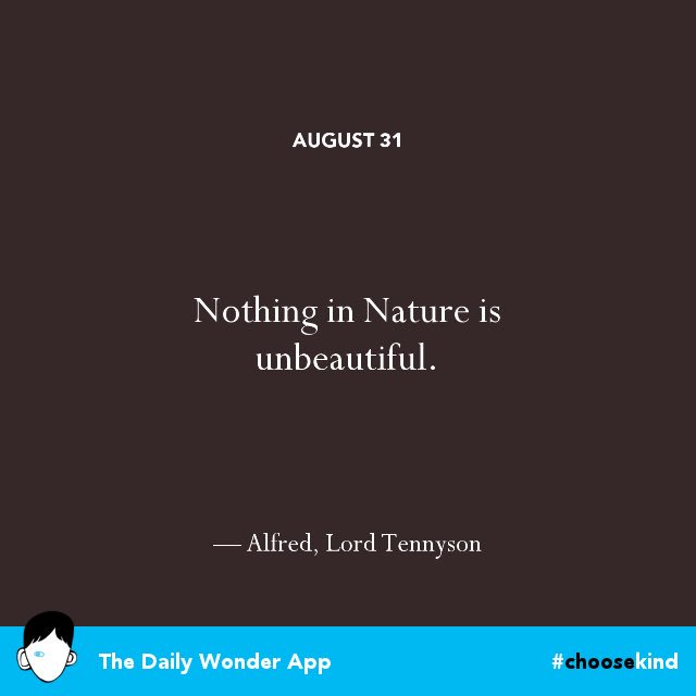 nvapes's tweet photo. Shared from The Daily Wonder App`
#choosekind https://t.co/IHtEIxJzpK