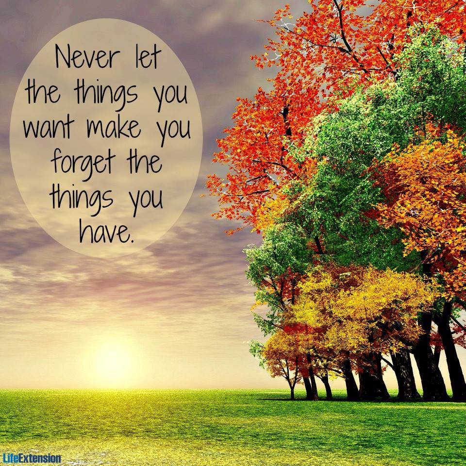 What are you most #grateful for today?