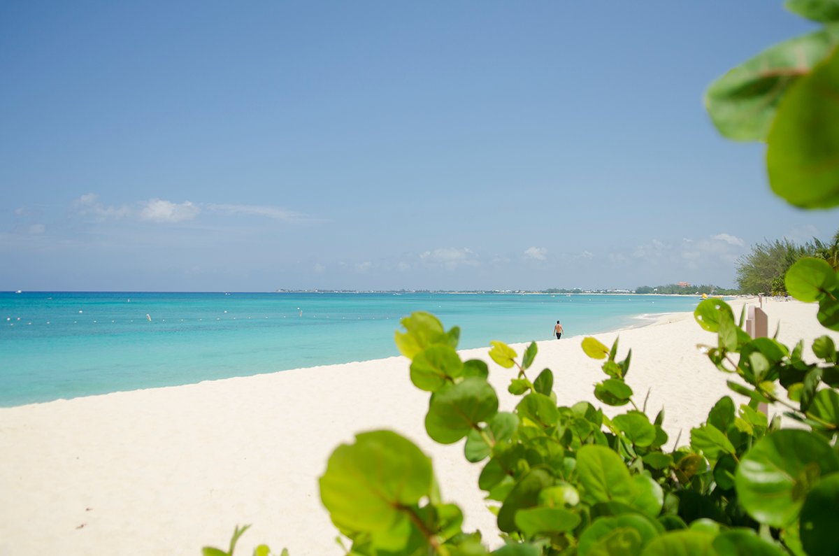 Cayman_Islands's tweet photo. Book your @CaymanAirways flight, today, through @Expedia! We have your spot on the beach ready for you. #YouNeedAVacation
https://t.co/ELnVE716Ma https://t.co/95GrMZSk23
