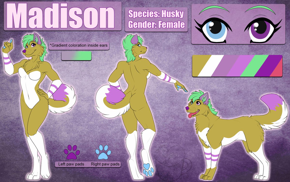 images Female Furry Ref Sheet simple ref sheet feral commission for