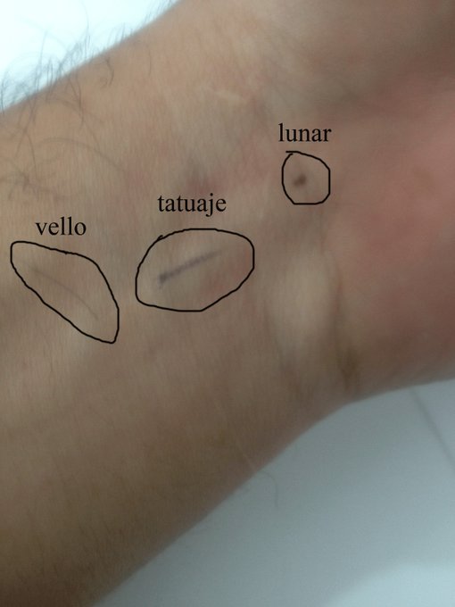 View image on Twitter