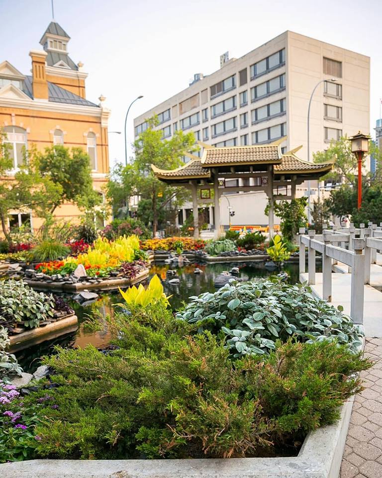 Winnipeg Chinatown 🏮
<a href="/WinnipegTourism/">Winnipeg Tourism</a> 
<a href="/TravelManitoba/">Travel Manitoba</a> 
.
.
.
#winnipegchinatown #chinatownwinnipeg #chinatown #chinese #asian #chinatownwpg #chinatownsummernights #meetmeattheforks #exchangedistrict #tourismwinnipeg #winnipeglife #winnipegstyle #prairies #prairielife #winnipeg