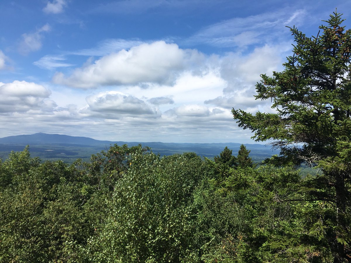 MaryLeachTweets's tweet photo. Words cannot describe how I feel among all this beauty. #trail #mountain #hiking #forestbathing #FridayFeeling https://t.co/fCc9EqrC82