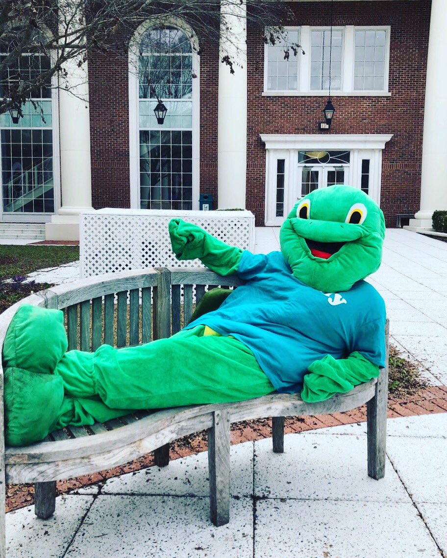 Happy Friday, CCU! We hope everyone has a fun, safe, and relaxing weekend! 
#shellsquad #wallysays #happyfriday