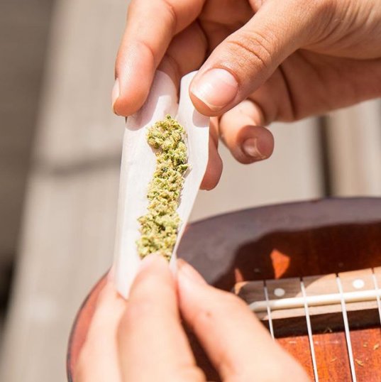 cankush420's tweet photo. What do you prefer? Pre-rolled joints or rolling your own? #rollyourown #prerolls #bcweed https://t.co/ueZwQCa8vW