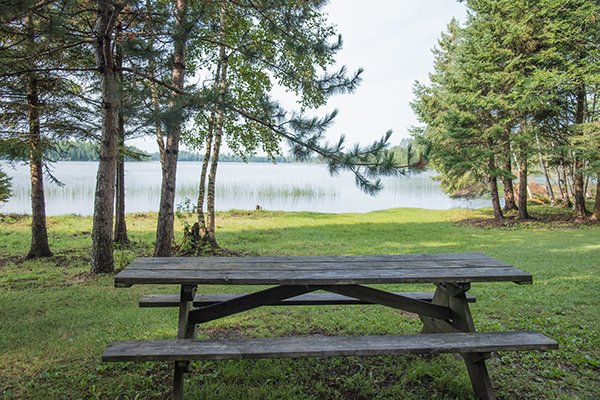 mnforestry's tweet image. Want to get away this Labor Day Weekend but forgot to make a camping reservation?  No worries! You don't need a reservation to camp in our Minnesota #StateForests -- and you don't need a car sticker, either!  What are you waiting for?  Get in the car and go!