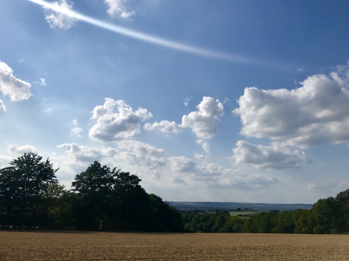 SazMills's tweet photo. Beautiful afternoon walk through the woods... generating more white blood cells boosting my immune system @daviddomoney #GetOutSide #FridayFeeling #redtailbumblebee @WoodlandTrust @NatureUK @Team4Nature https://t.co/ehxsyeALaU