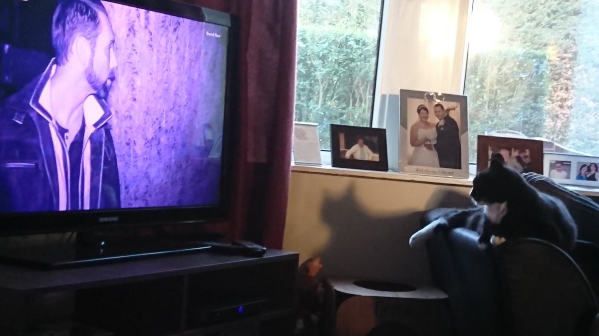 AnnMarie_Pyke's tweet photo. Loved last night's #ParanormalLockdownUK  @NickGroff_ and @KatrinaWeidman definitely have a fan in our cat Poppy - she couldn't take her eyes off the TV! #paranormalfan #blackandwhitecat #squareeyes #mycatlovesghosts https://t.co/gmLqwOSAWM