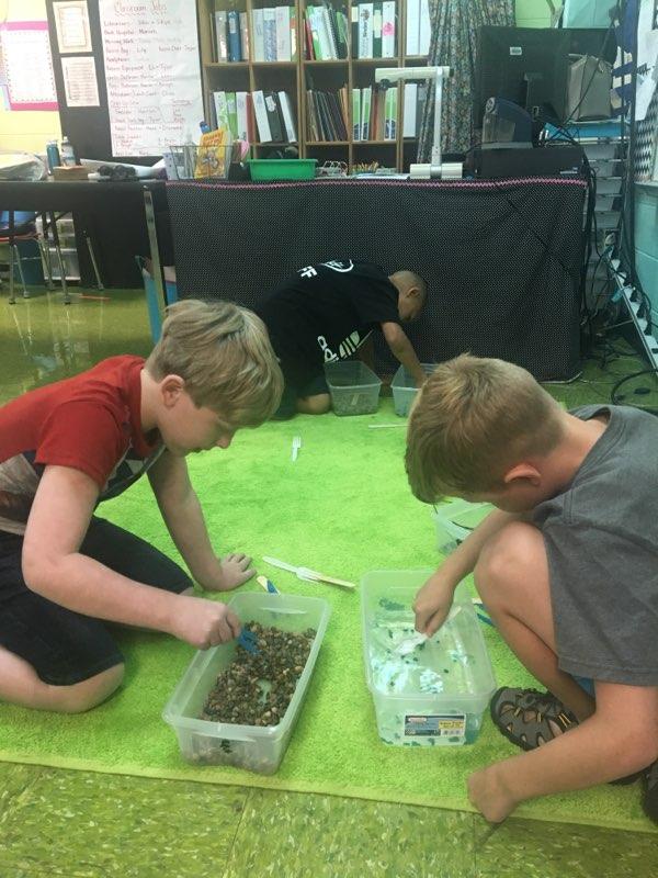 #scschat #ilewarriors third grader STEAM activity about animal adaptations