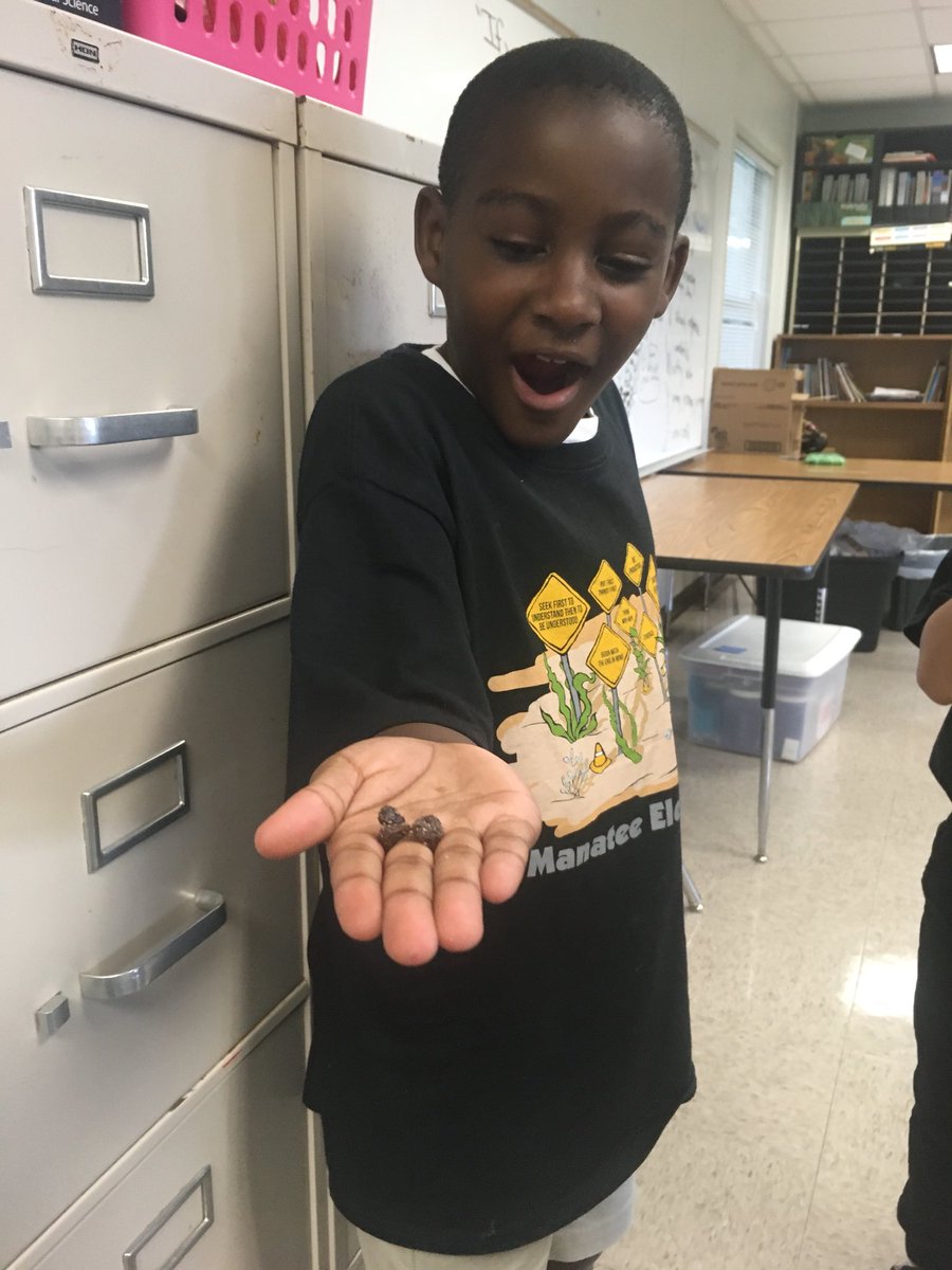 marcoyschoolage's tweet photo. When your children claim they hate raisins, then learn that raisins originally are grapes https://t.co/Z9Up2x5ium