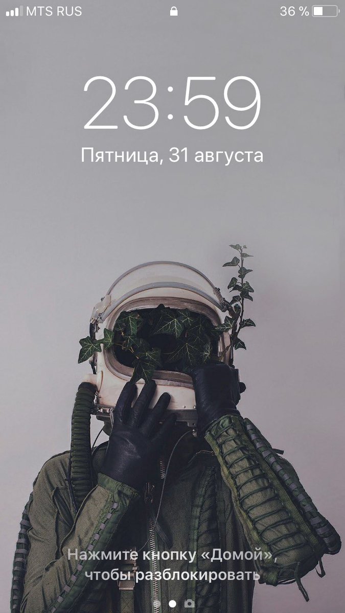 jelly_demon's tweet photo. ну что погнали нахуй йобана в рот
#1сен��ября https://t.co/NEGbbwWrip