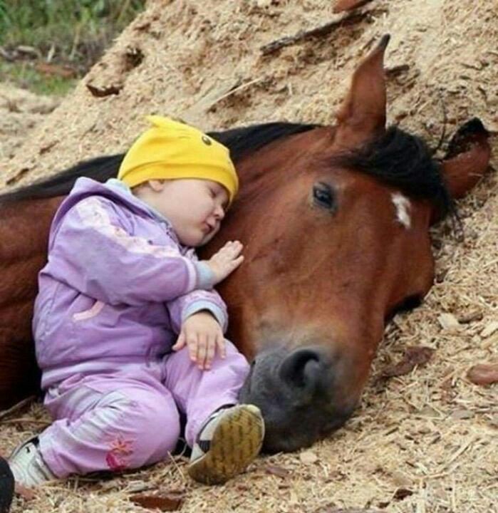 Coeur_Turquoise's tweet photo. @Alex451618 @paxipax_heleane @Bagatelle75 @handiseniors56 @yoanne_yo @bo_chart @RACHELE1701 @DanielPilotte @gastou89 @Garance60 @Celine89955159 @Sonia29739 @Rosedeau23 @Eric13287047 @morettoburchi @autun6 @JstLangevin @DanielVanGeel @AlexinaVanGeel @Tsipora777 @Generationopex @PASCALPOINTUD @PNerval @MilitairesActu @MontmartreClaud @hdene @Ile2S @NicolasSarkozy @lesRepublicains @TROTEMc @clomimine @giselemorin1 @Christianehaze @chcerutti @MARYLIN84S @KristelBERINGER Merci Chère #Alexine 🌸🌿Heureuse de te lire. J'espère que tu vas bien. Prends bien soin de toi. Bisous 😘 https://t.co/4b2gmub9zq