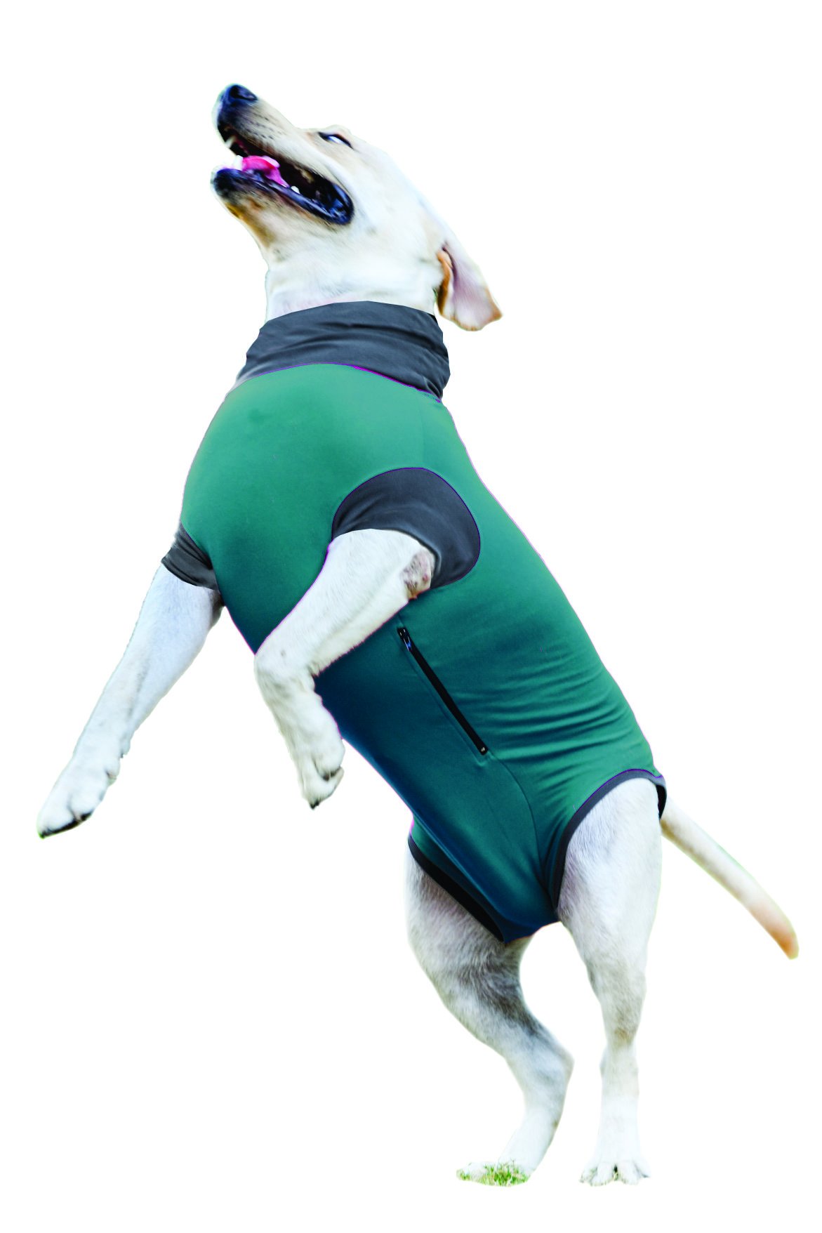 Rabbit 2025 medical shirt