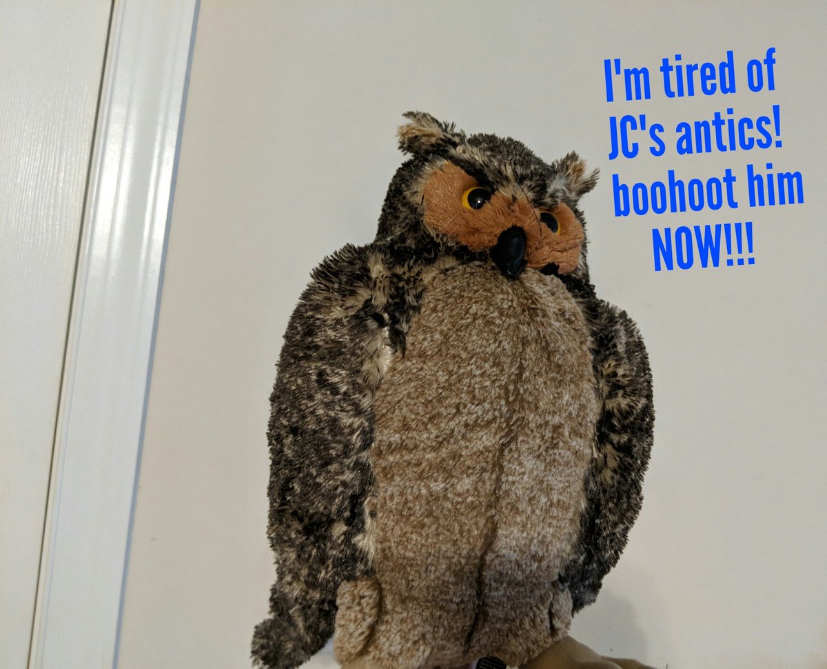 jeannefromnc's tweet photo. @BBADOrwell @PopTV #BB20 #BBLF #EjectJC https://t.co/l5qFr6MgQz