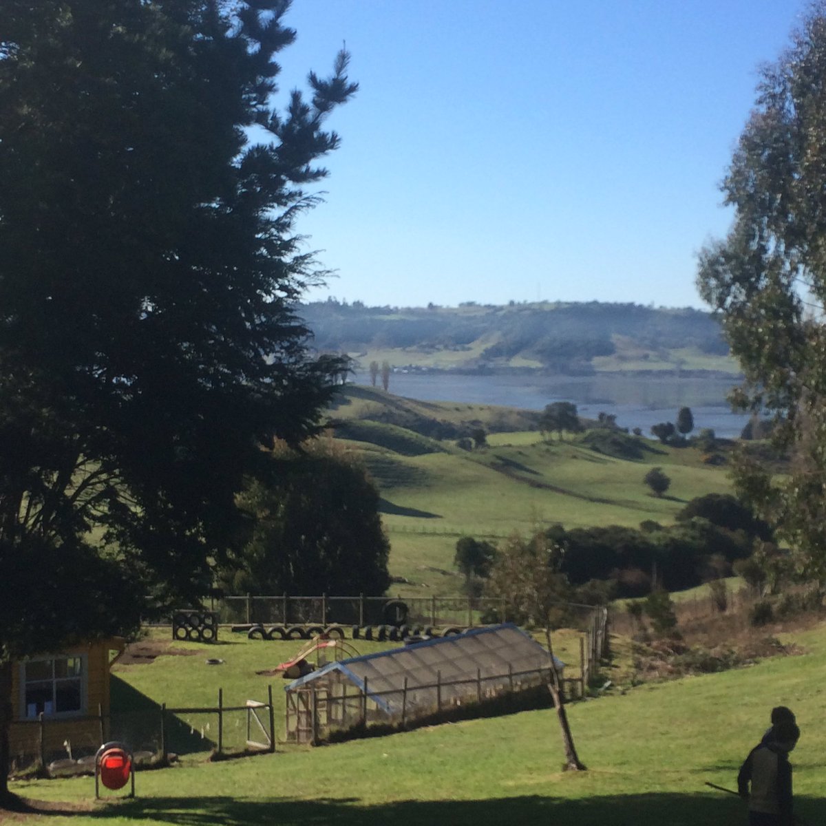 miguelarias's tweet image. Y seguimos. Al colegio. Aca en el patio, Se pasó 🍀☯️🌞 #EducaciónDigital #SerDigital #Castro #Chiloe