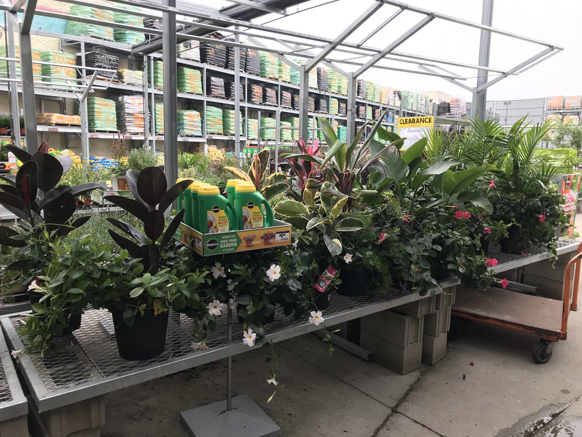 DDGrahamFlowers's tweet photo. Good afternoon Fergus Falls folks! Check out the Mums arriving today and the other outdoor decorating options available at The Home Depot. https://t.co/p8NFhu3E47