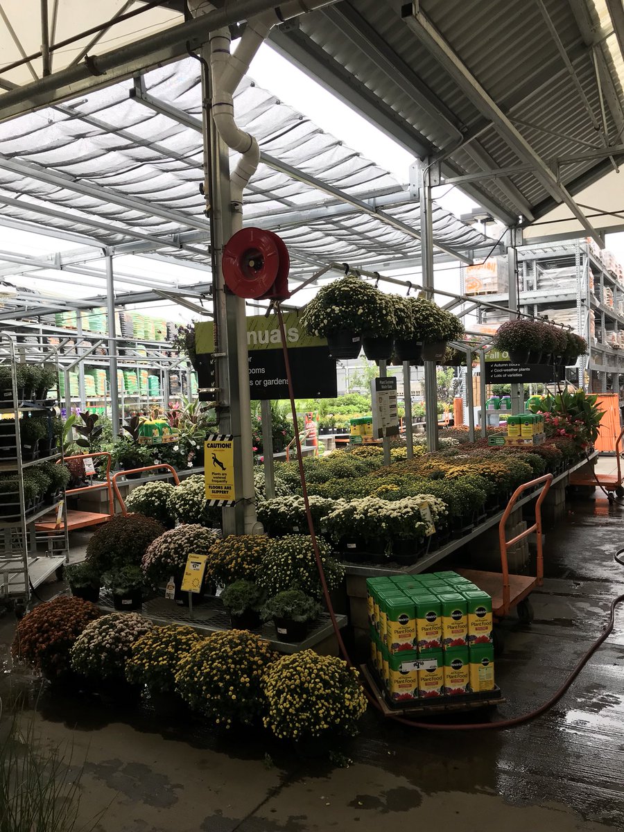 DDGrahamFlowers's tweet photo. Good afternoon Fergus Falls folks! Check out the Mums arriving today and the other outdoor decorating options available at The Home Depot. https://t.co/p8NFhu3E47