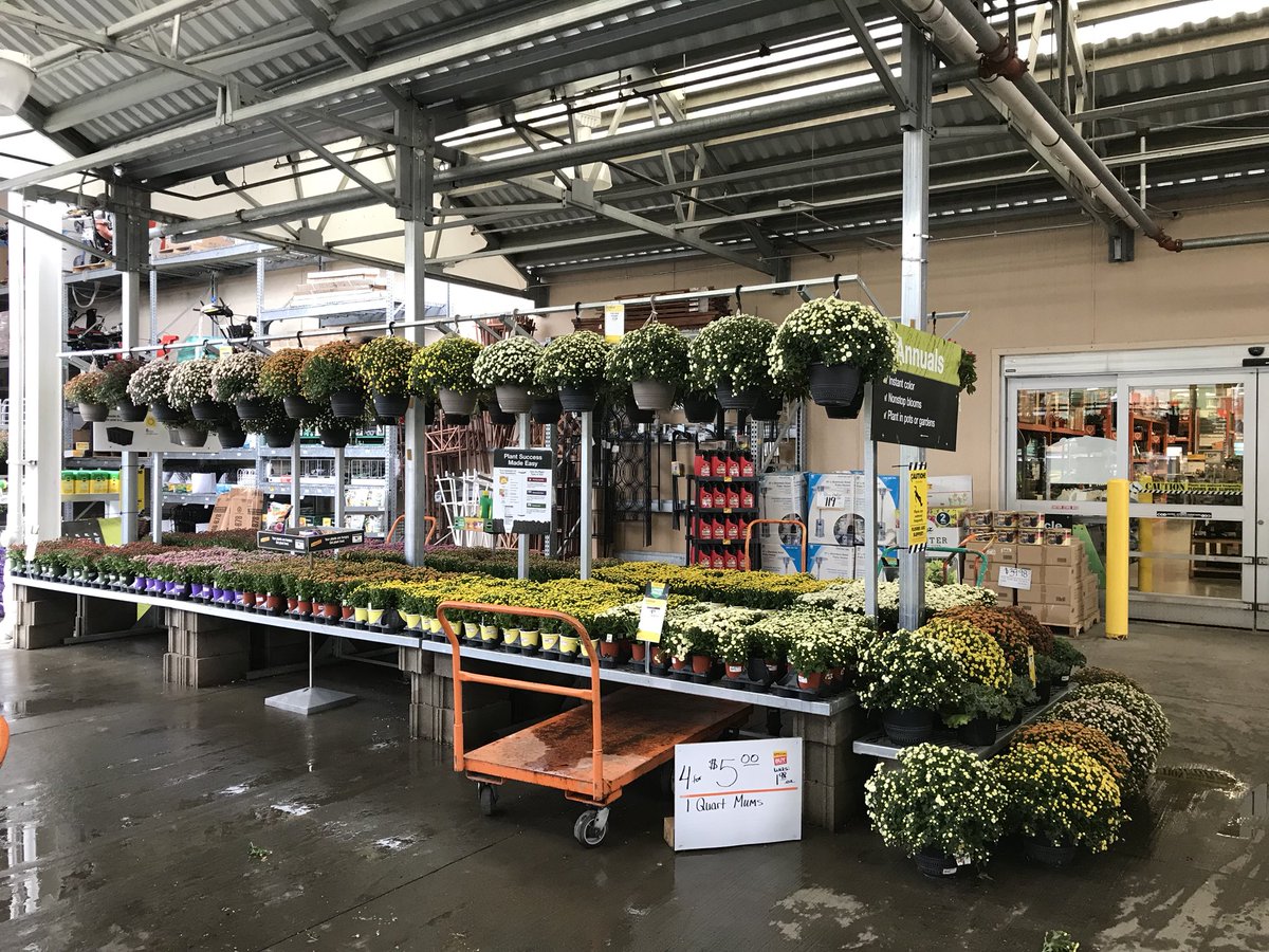 DDGrahamFlowers's tweet photo. Good afternoon Fergus Falls folks! Check out the Mums arriving today and the other outdoor decorating options available at The Home Depot. https://t.co/p8NFhu3E47