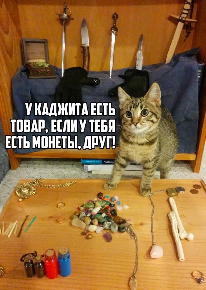 Dl9CoCcW0AA0t9x?format=jpg&name=medium