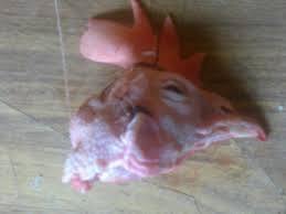 Петуху отрубили голову. Голова курицы.