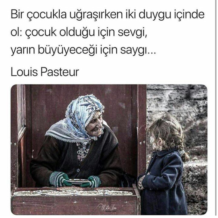 gülser teyze (@gulserteyze) on Twitter photo 