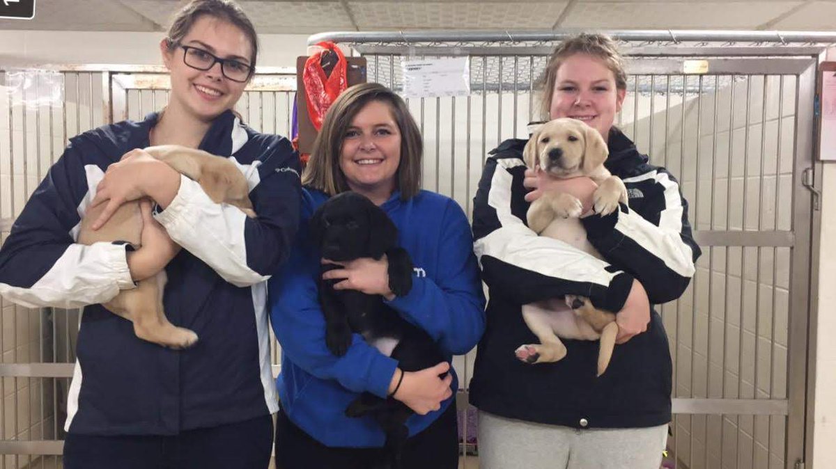 iupcirclek's tweet image. #IUPCIRCLEK IS BACK FOR 2018-19 LETS TAKE A LOOK AT LAST YEARS FUN