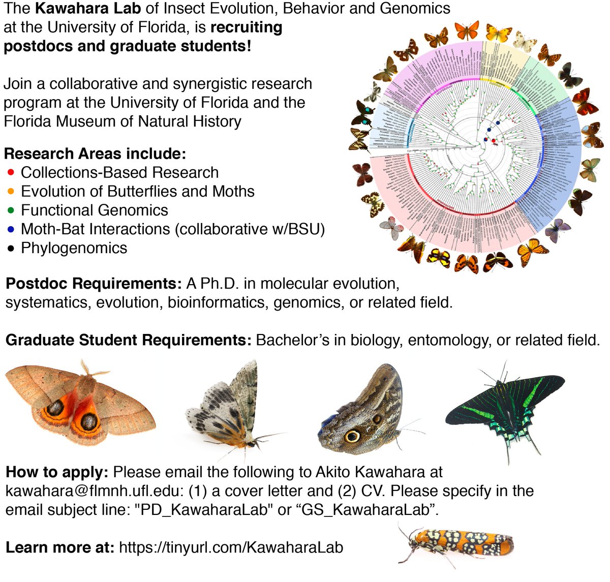 KawaharaLab's tweet image. Please Retweet! Our lab is recruiting another POSTDOC and GRAD STUDENTS for 2019! Join a large synergistic team studying many aspects of insects at @FloridaMuseum @UFEntomology | Great Evol Biol Group @UF! | Lab link: tinyurl.com/KawaharaLab  | Please RT!