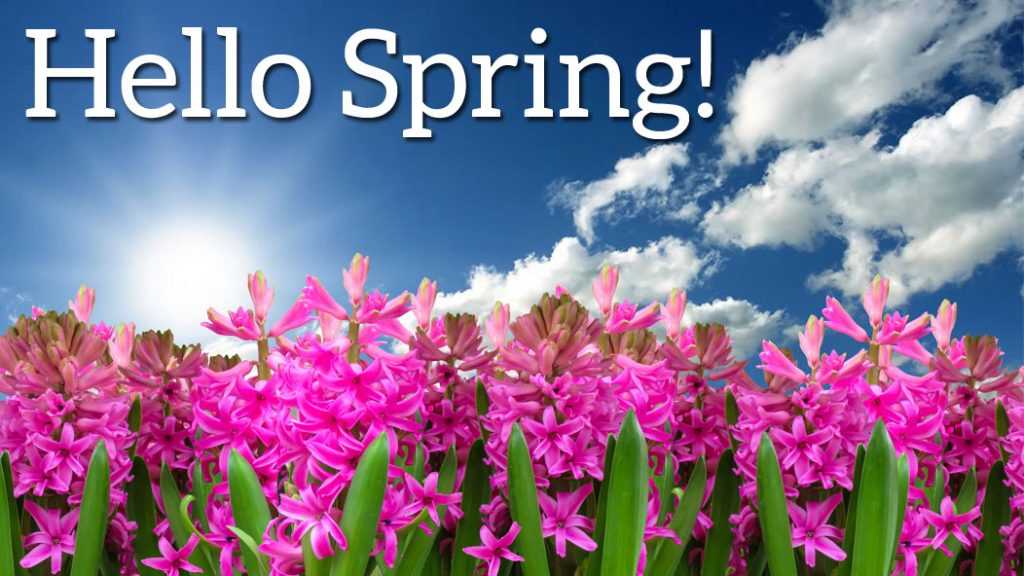 council's tweet image. It&apos;s the first day of Spring! #SpringinAustralia