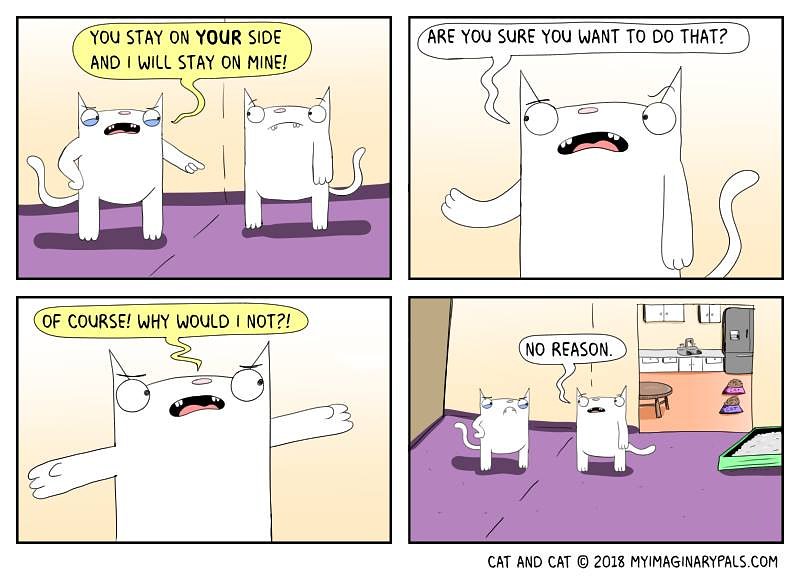 #cat doesn't #want cat to #crosstheline in this #Friday #catandcat