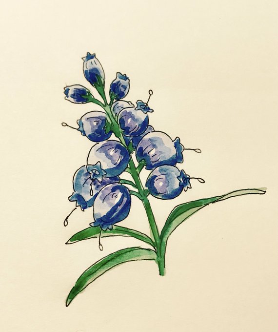 メアリと魔女の花のtwitterイラスト検索結果 古い順 メアリと魔女の花のtwitterイラスト検索結果 古い順