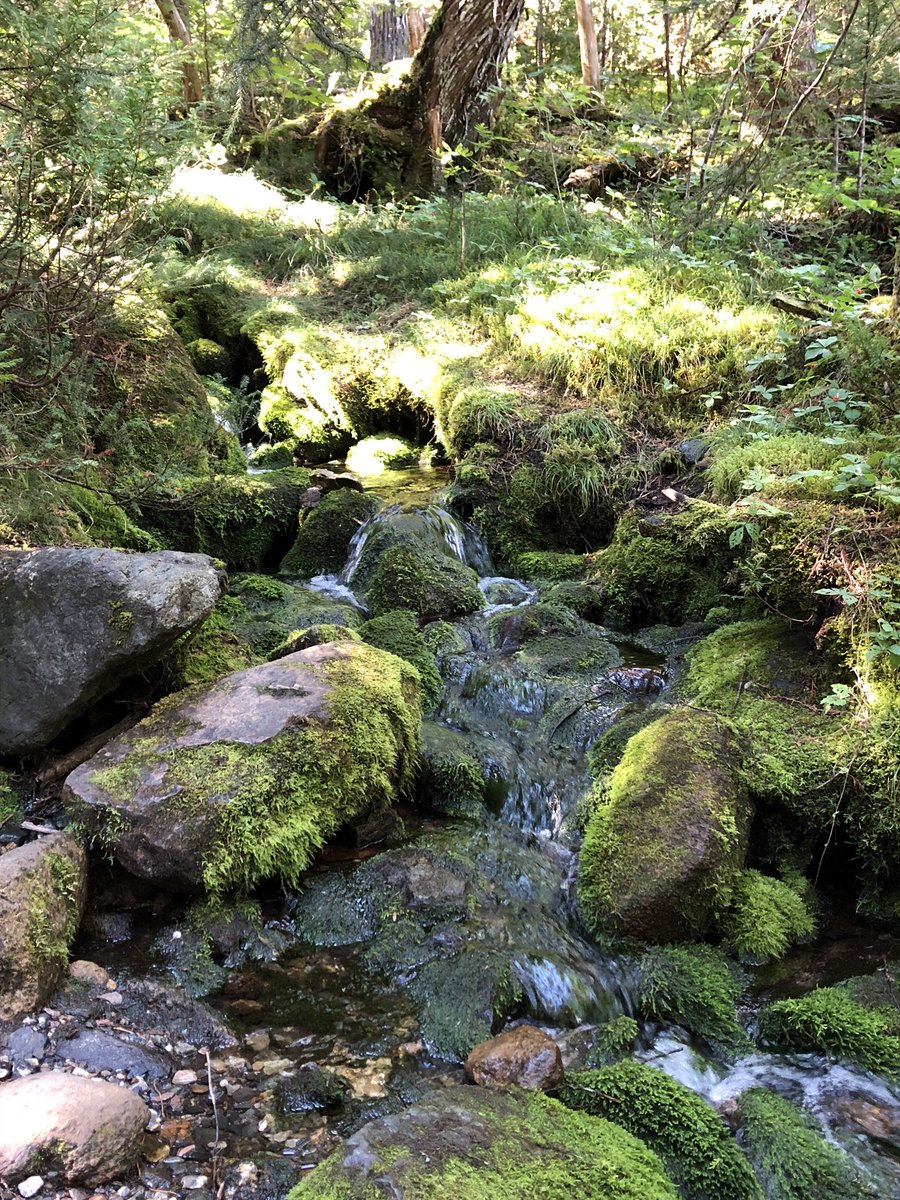 Découverte Monde tweet media