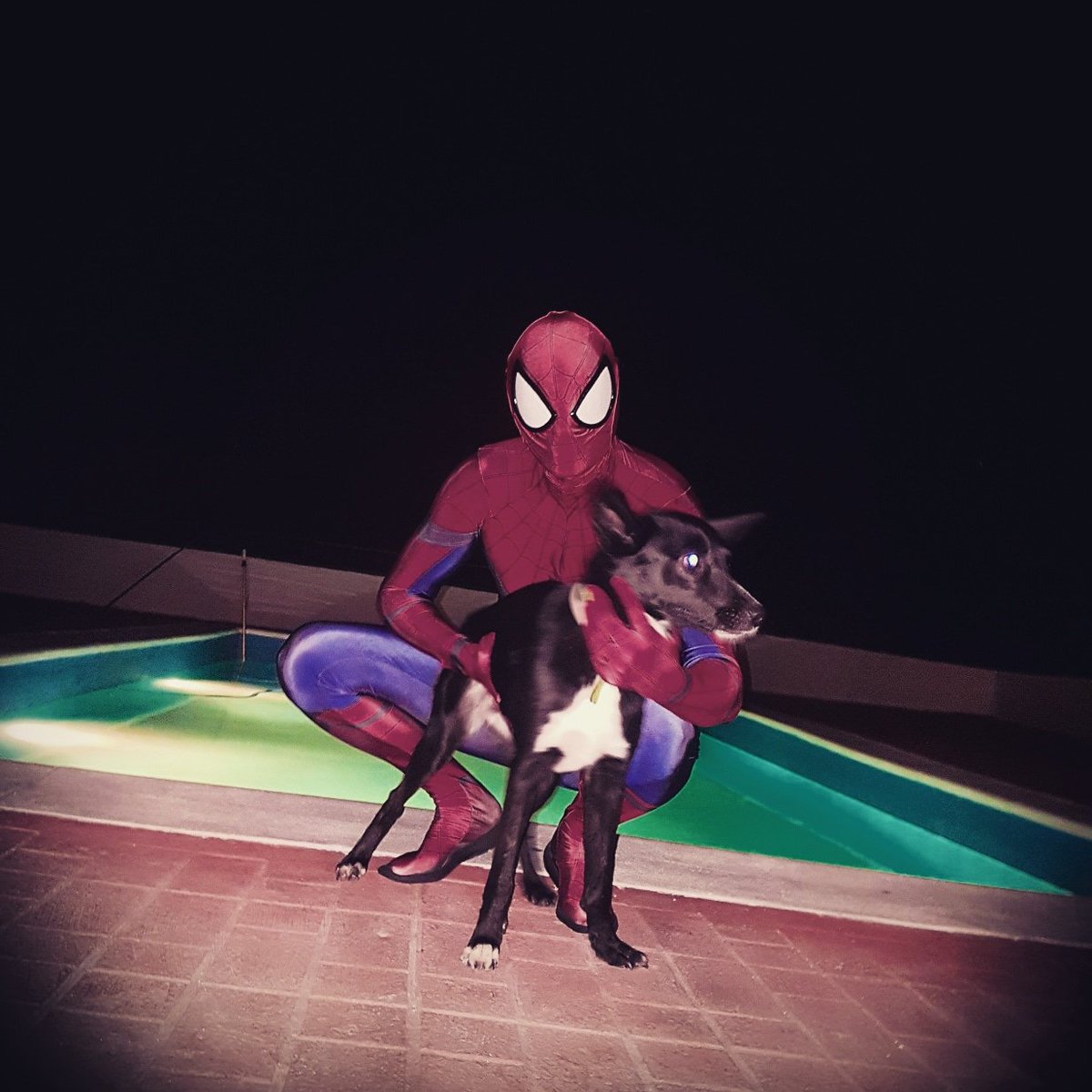 Espaiderman 🕷 tweet media