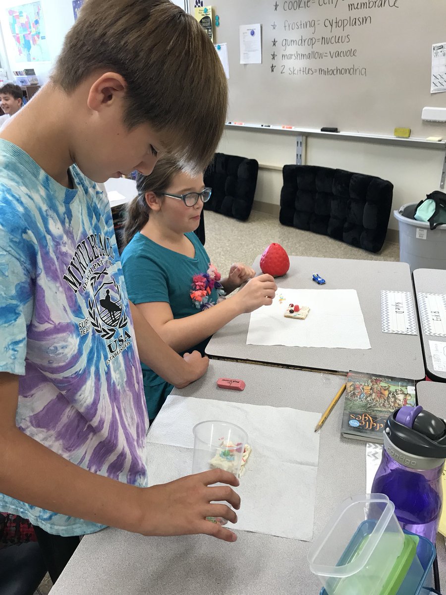 MsCollinsMW5's tweet image. Some cell-fies of students hard at work making edible plant cells!📸 Each goodie served as a different cell organelle 🍬 #CellModels #D118Life @RobertCS118