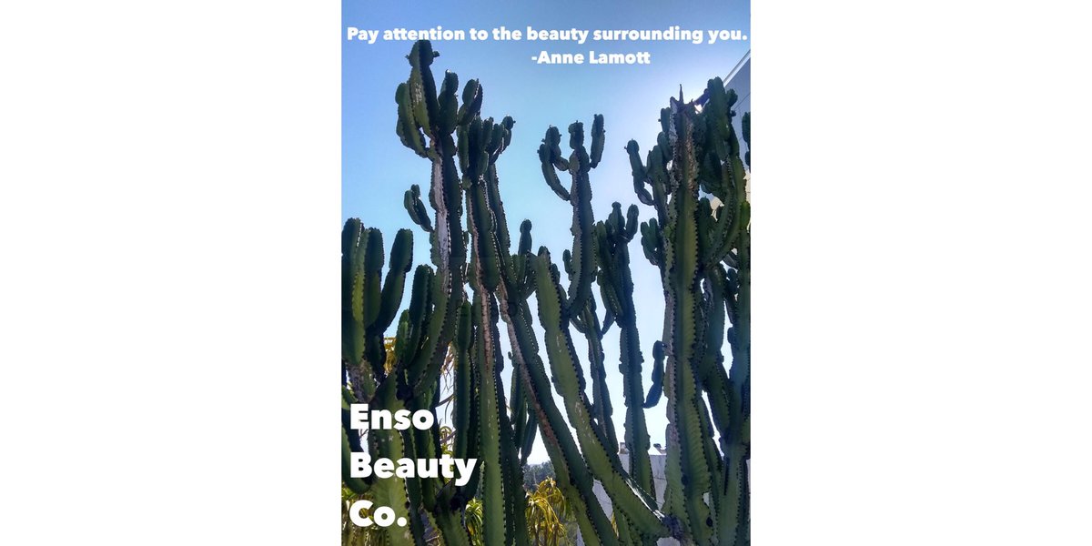 Pay attention to the beauty surrounding you.-Anne Lamott. #EnsoBeautyCo #OrganicSkincare #USDACertifiedOrganic #HolisticSkincare #BeautyInNature #Wellness #SpaSupplies